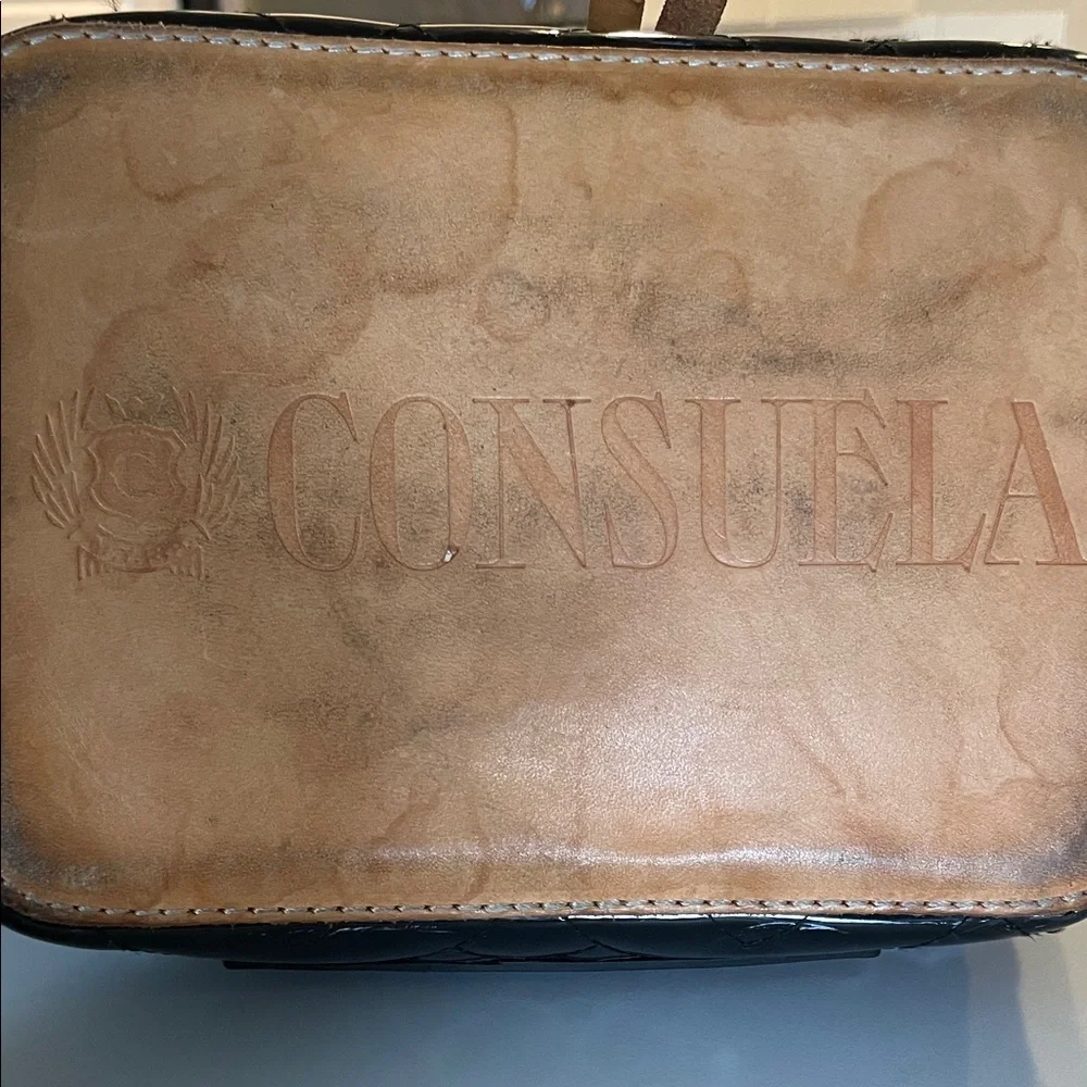 Consuela Black Patent Leather Bag with Tan and Green Accents - Picture 7 of 7